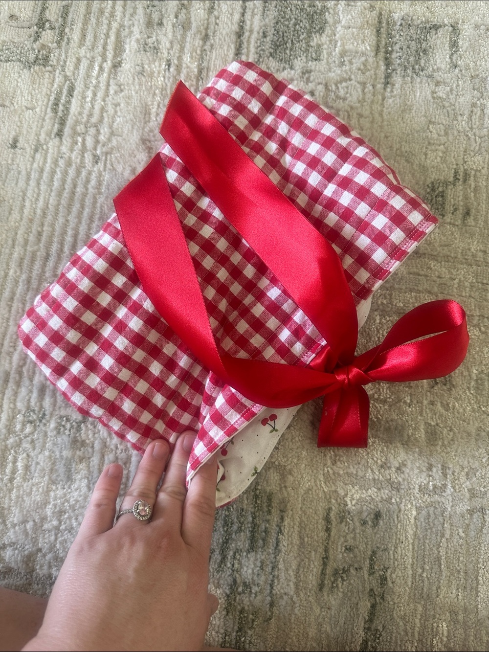 NBW Red Gingham Bible Bag with Satin Ribbon and Cherries inside